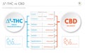 Ã¢Ëâ 8-THC vs CBD, Delta 8 Tetrahydrocannabinol vs Cannabidiol business infographic